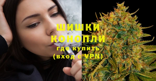 PSILOCYBIN Бугульма